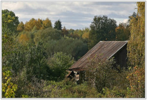 An old barn