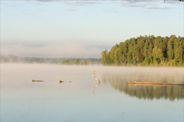 Studzieniczne lake