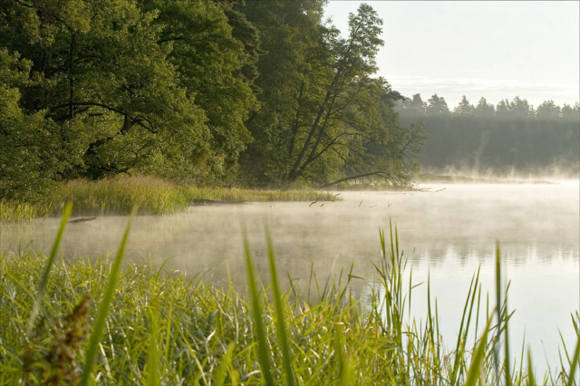 Mikaszewo lake