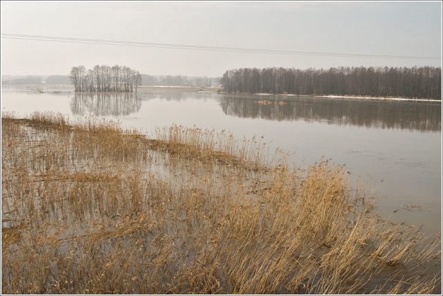 Sidra river