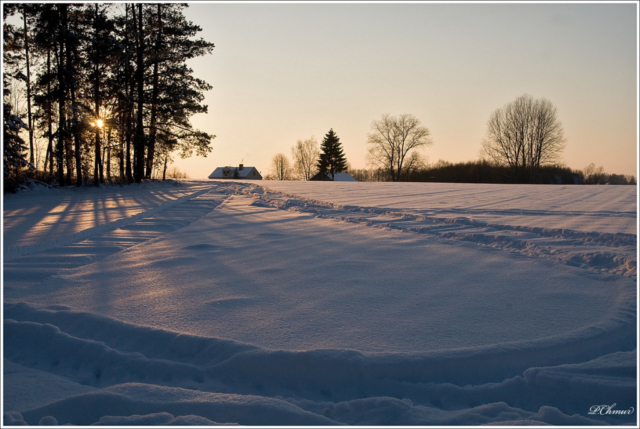 the winter sunset