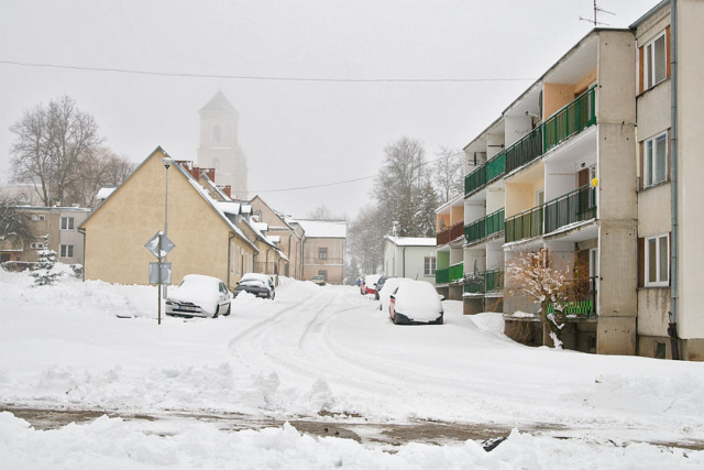 Rozanystok in the snow