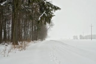 footprints in the snow