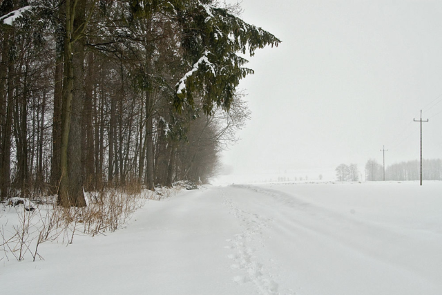 footprints in the snow