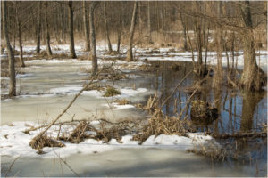 the thawing weather