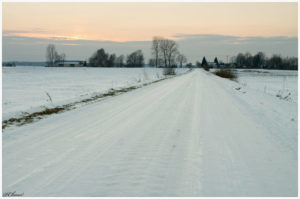 fields near Rozanystok