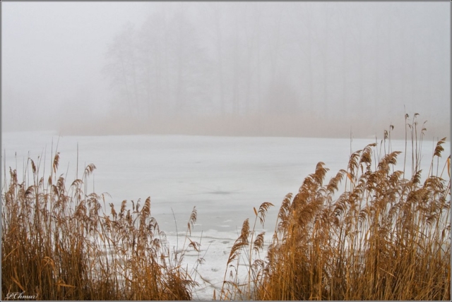 pond about road to Dombrowa