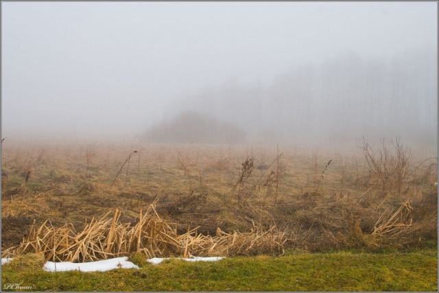 in thick fog