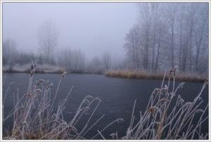 frozen pond