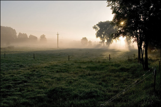 in the fog