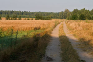 field road near Dubiazyn