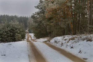winter road