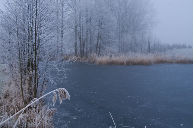 ice on the pond