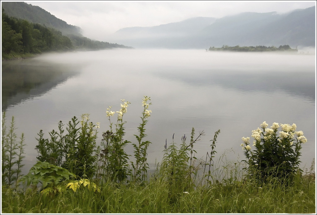 Foggy morning