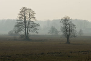 and fog over the river