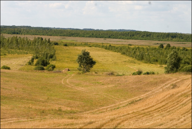 view from the tower