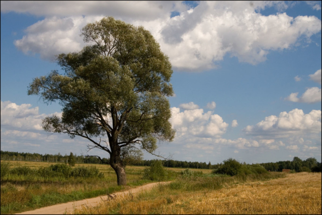 road to Szuszalewo village