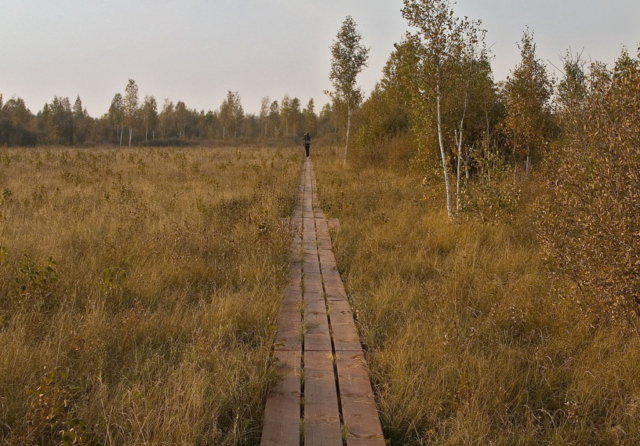 on the footbridge