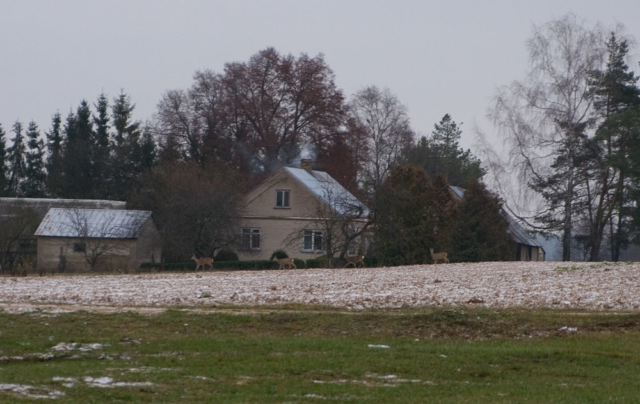 lonely farm