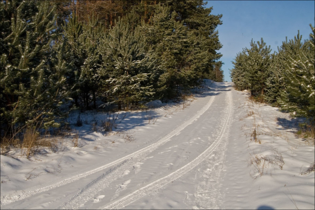 winter road