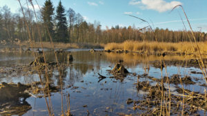 Sloja  river