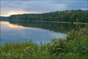 Mikaszewo lake