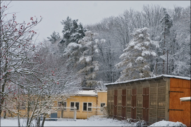 first snow