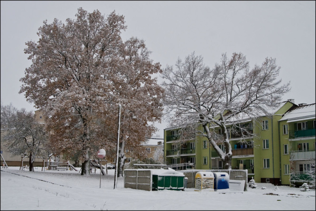 abundant snow