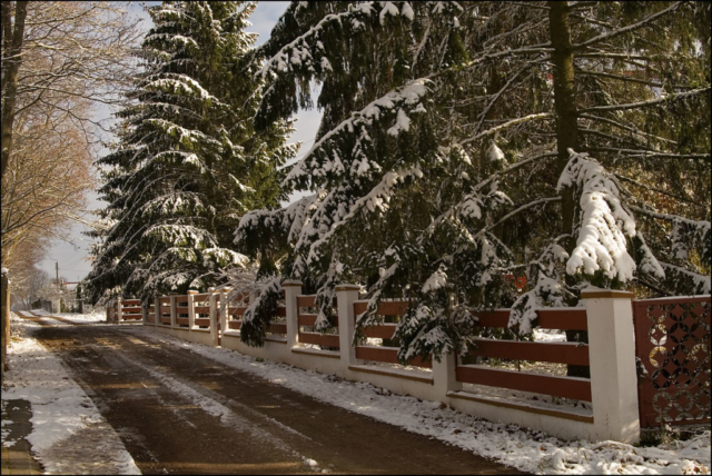 snow-covered fence