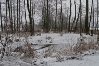 ice and snow