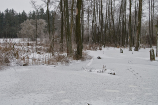 ice and snow