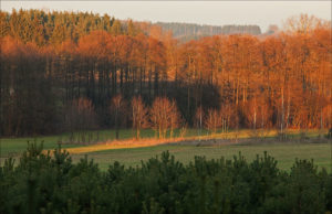 near Grzebienie village