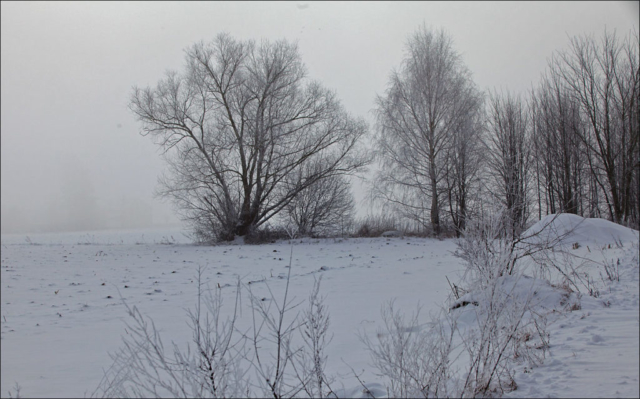 foggy landscape