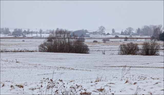 snow-covered field