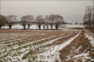 first snow December 2017