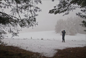 first snow