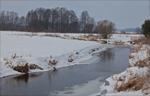 Sidra river near Grzebienie