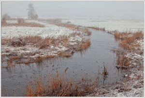 Sidra river near Jaczno