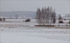 fields towards the village of Chilmony