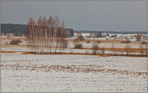 fields towards the village of Chilmony