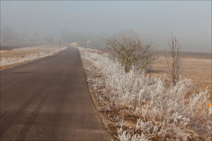 road to Grzebienie village