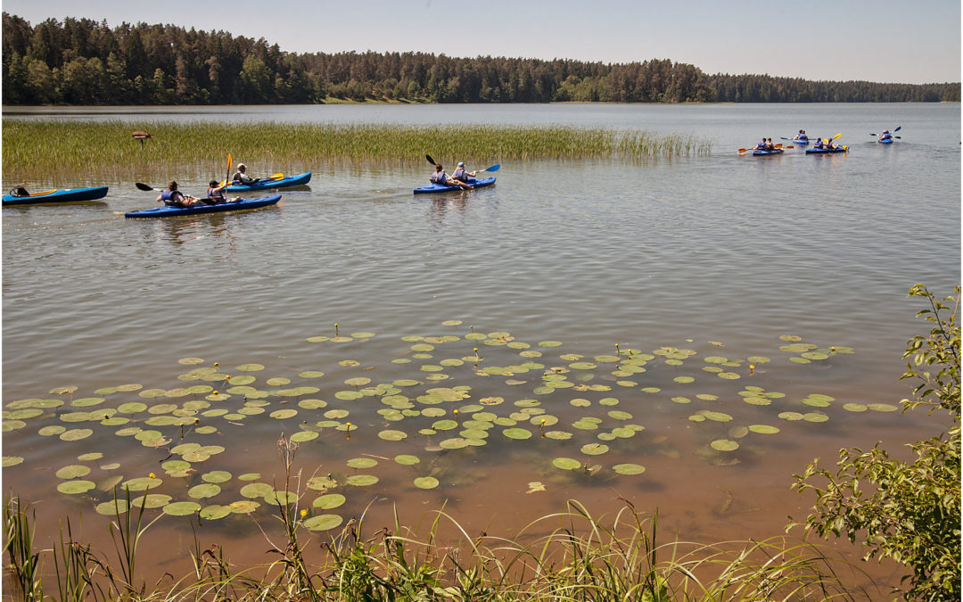 spływ kajakowy