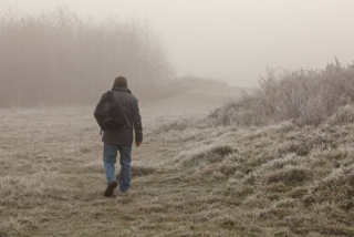 going into the fog