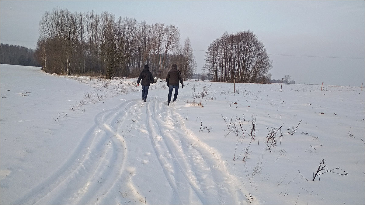 winter walk