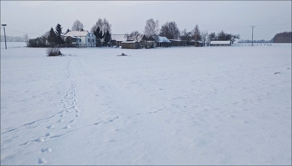 rural winter