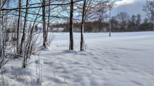 snow