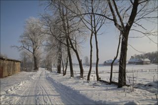 sunny road winter road