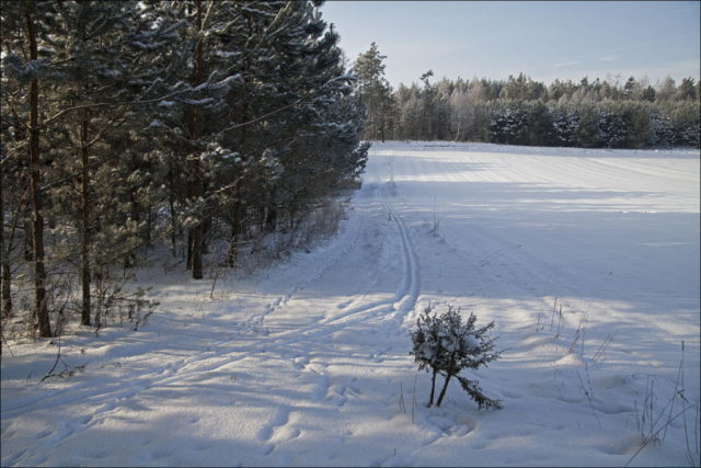 traces of my skis