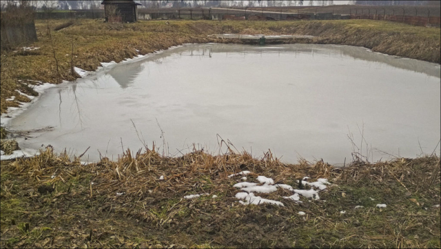 ice on the pond