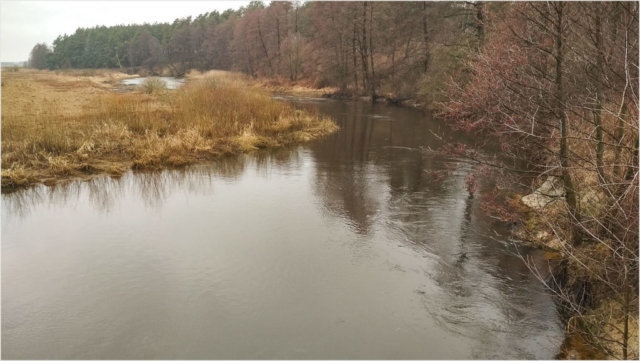 Narew river in northwest